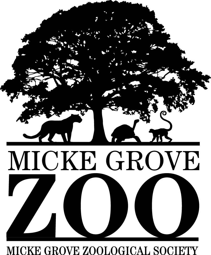 MGZS Logo